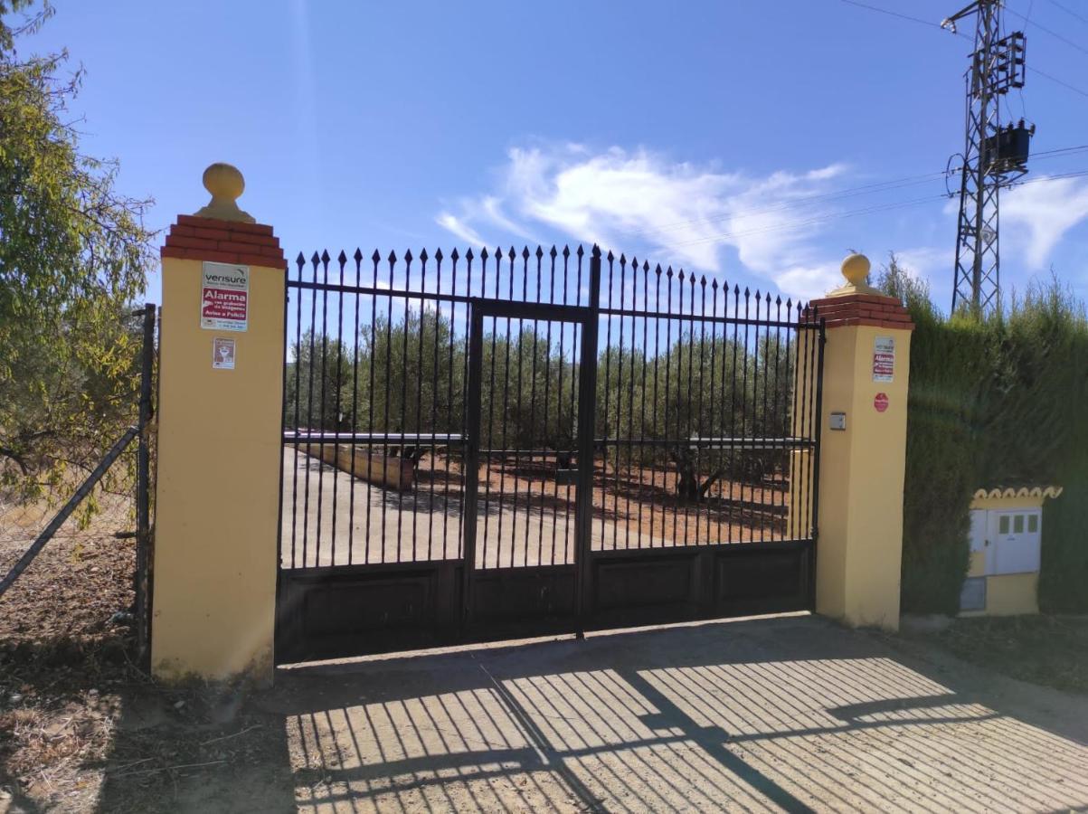 Los Abuelos Setenil De Las Bodegas Zewnętrze zdjęcie