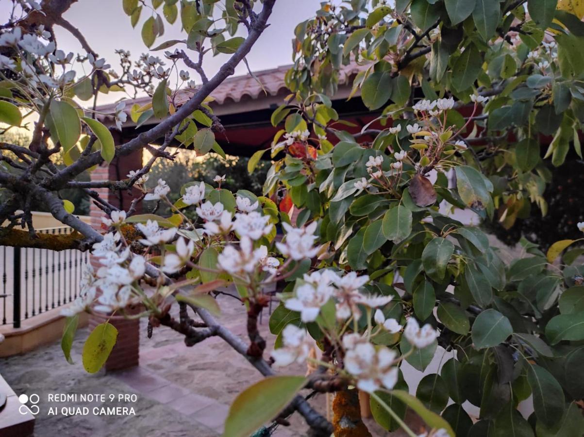 Los Abuelos Setenil De Las Bodegas Zewnętrze zdjęcie